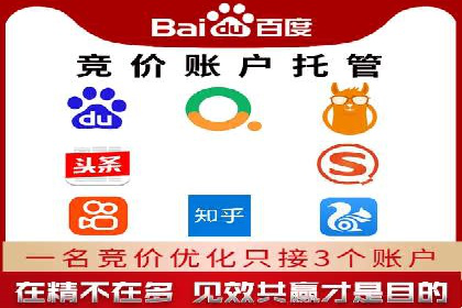竞价托管服务案例解析